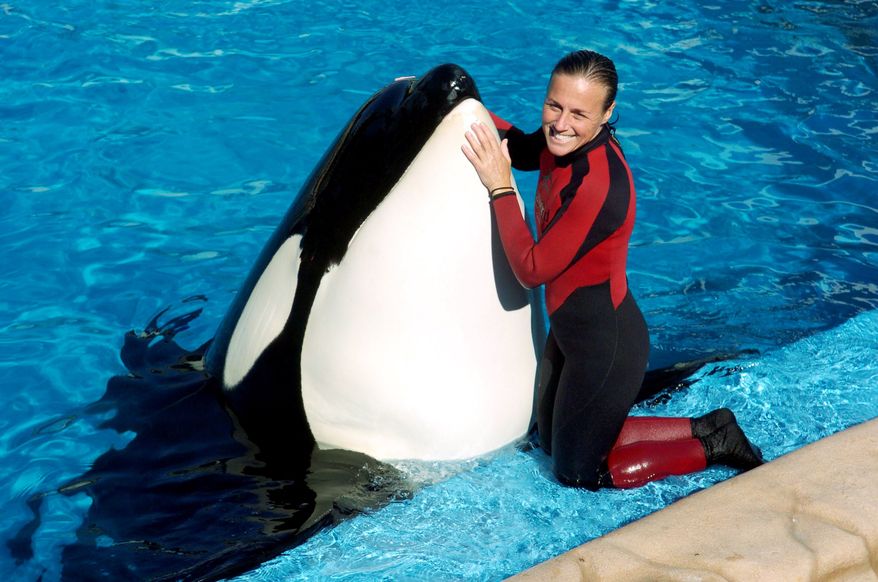 ** FILE ** Trainer Dawn Brancheau poses while performing at SeaWorld in Orlando, Fla., in 2005. Ms. Brancheau was killed in an accident with a killer whale in 2010. (Associated Press/Orlando Sentinel, Julie Fletcher)