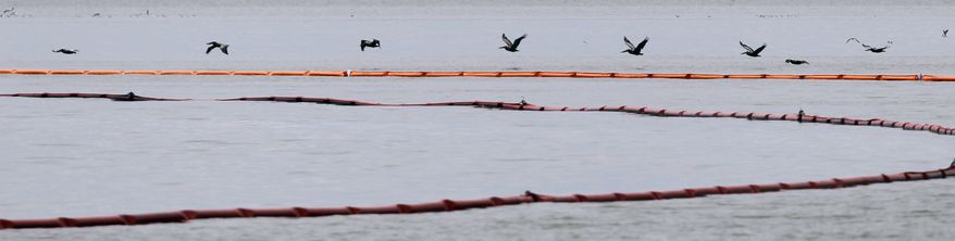 Brown pelicans fly over booms collecting oil from the Deepwater Horizon spill near Queen Bess Island, Wednesday, June 16, 2010, in Grand Isle, La. (AP Photo/Charlie Neibergall)