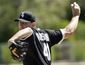 White_Sox_Diamondbacks_Spring_Baseball.sff.jpg