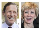 Connecticut Senate_Lea.jpg