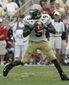 Georgia_Tech_Nesbitt__Football.sff.jpg
