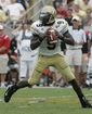 Georgia_Tech_Nesbitt__Football.sff.jpg