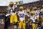 LSU_Petersons_Purpose_Football.sff.jpg