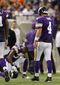 Dolphins_Vikings_Football.sff.jpg