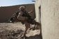 afghan_7296