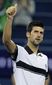 China_Tennis_Shanghai_Masters.sff.jpg