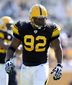 Steelers_Harrison_Football.sff.jpg