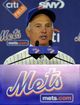 Mets_Collins_Baseball.sff.jpg