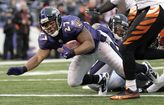Bengals Ravens Footba_Star.jpg