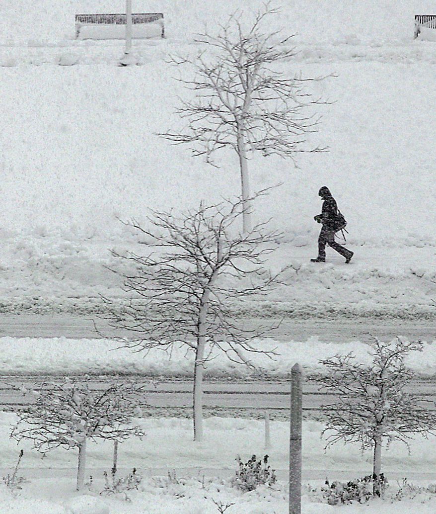 A morning commuter passes snow covered trees along the Rose Kennedy Greenway in Boston, Wednesday, Jan. 12, 2011. The Boston area is expected to receive well over a foot of snow during a day long winter storm.(AP Photo/Charles Krupa)