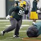 Packers_Football.sff.jpg