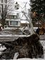 storm_4174