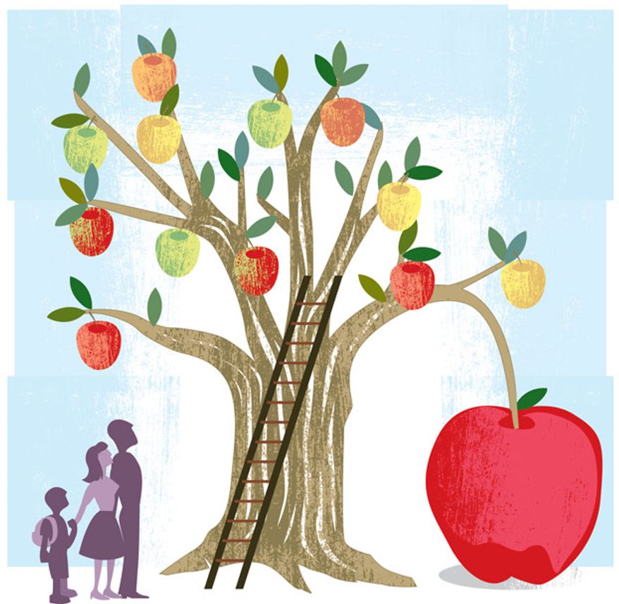 School choice (Illustration by Linas Garsys for The Washington Times)