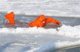 APTOPIX_Norway_Arctic_Prince.sff.jpg