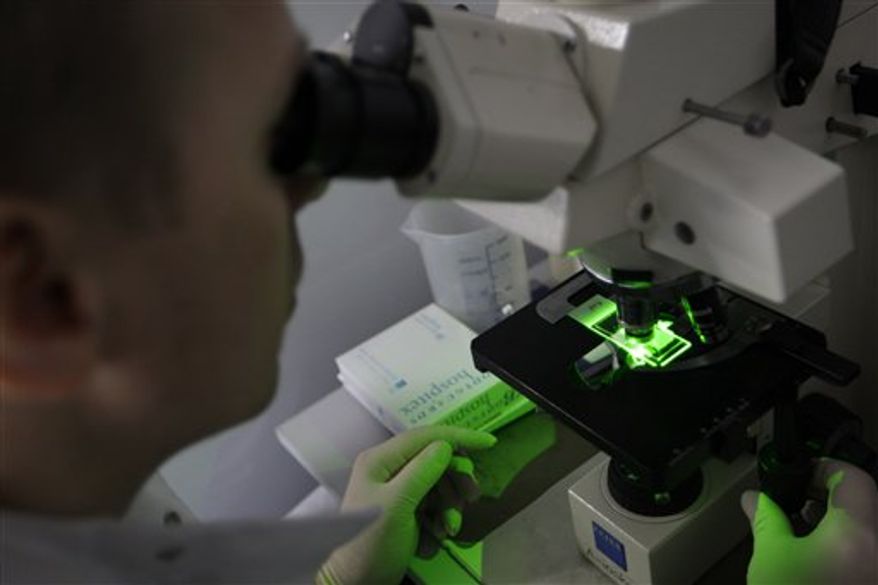 Bacteria use for producing anti-body against malaria are seen through a microscope at Westminster University in London, Tuesday, March 15, 2011. In a cramped London laboratory filled with test tubes, bacteria and mosquitoes, scientists are trying to engineer a new weapon in the battle against malaria: a mutant fungus. For years, Angray Kang at Westminster University and colleagues have been testing whether they could genetically tweak a fungus to kill the malaria parasite carried by mosquitoes. (AP Photo/Sang Tan)
