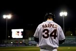 HARPER_341