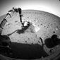 20110524-164942-pic-817668542.jpg