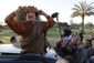 Mideast Libya Interna_Live.jpg