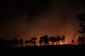 FIRE.jpg