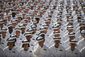 plebes_0013.jpg