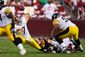 REDSKINS_001.JPG