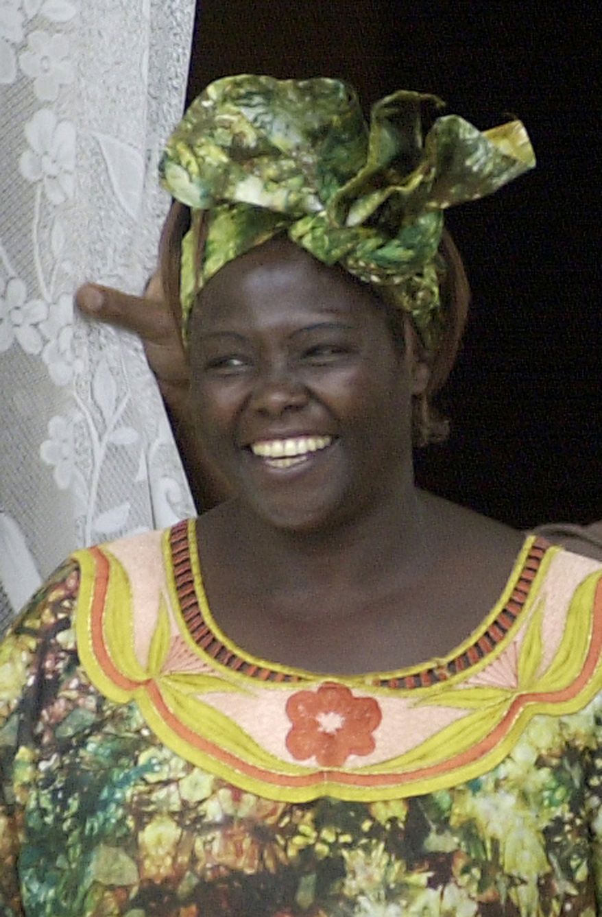 ** FILE ** Wangari Maathai, pictured in 2004, was Africa's first female Nobel Peace Prize laureate. (AP Photo/Khalil Senosi, File)