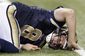 RAMS_17a
