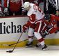Red Wings Capitals Ho_Petr.jpg