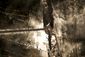 ICE_2348