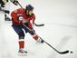Penguins Capitals Hoc_Hasc(1).jpg