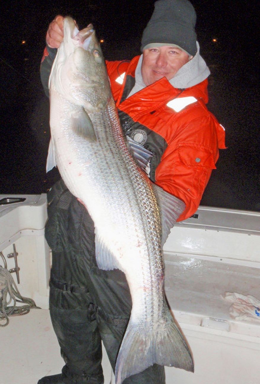 Dr. Ken Neil, a Virginia Beach-area dentist, is rewarded with a hefty rockfish for braving the cold.