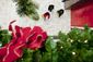 TYSONS_CORNER_12-2604