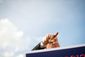 GINGRICH_01-2307