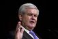 Gingrich 2012_Lea.jpg
