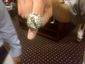 IMG-20120417-00117.jpg
