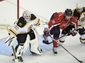 Bruins Capitals Hocke_Hasc(1).jpg
