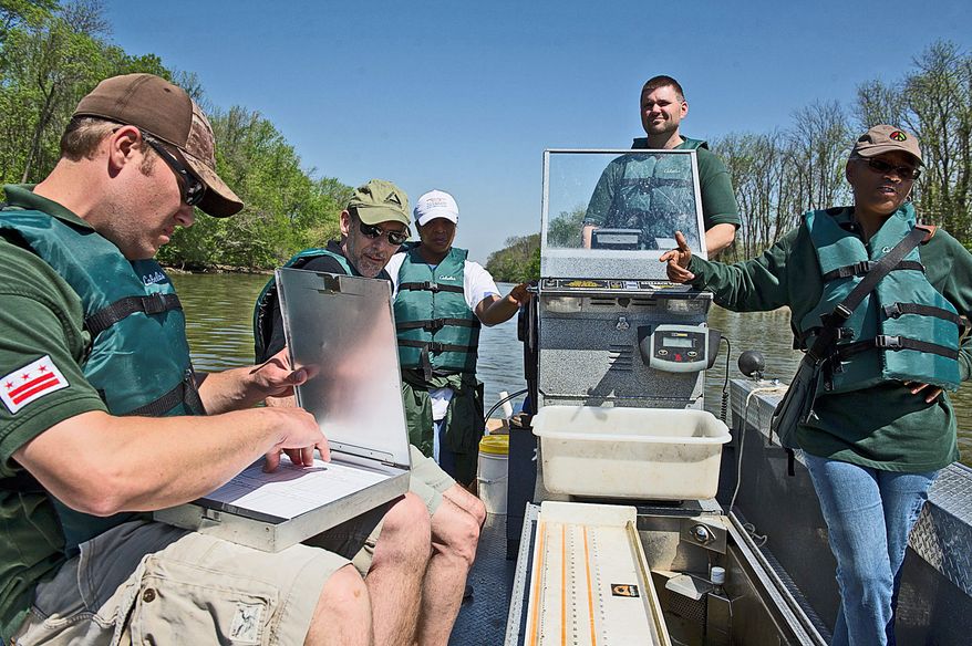 Luke Lyon makes notes on fish pulled out of the Anacostia. Joining him (from left) are Christophe Tulou, Donna Henry, Danny Ryan and Nicoline Shulterbrandt. (Barbara L. Salisbury/The Washington Times)