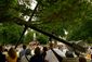 HERNDON_20120522_1235