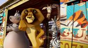 Film Review - Madagas_Reps.jpg