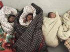 china-forced-abortion_live_mugshot_four_by_three.jpg