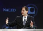 Rubio Latino Official_Live.jpg