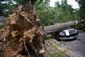 storm_342
