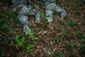 sapper_20120708_1979