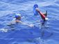cuba-swimming-to-flor_lea_3_mugshot_four_by_three.jpg