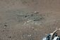 Mars Curiosity_Lea.jpg