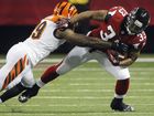 bengals-falcons-footb_hasc_mugshot_four_by_three.jpg