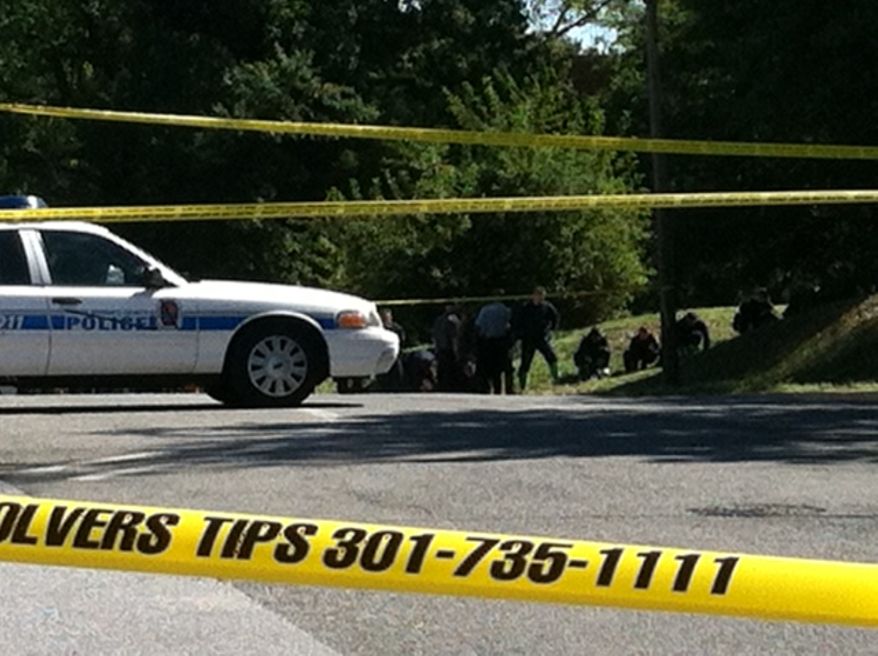 Prince George's Police Academy students search for evidence on a grassy hillside near the place where 18-year-old Central High School student Marckel Ross was shot and killed as he walked to school on Tuesday. (Meredith Somers/The Washington Times)