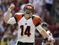 bengals-redskins-foot_hasc_mugshot_four_by_three.jpg