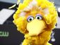 debate-social-media_live_mugshot_four_by_three.jpg