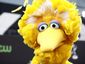 debate-social-media_live_2_mugshot_four_by_three.jpg